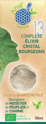 Charger l'image dans la galerie, Élixir de quartz rutile et bourgeons de noisetier, peuplier, charme - N°13